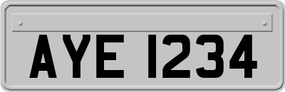 AYE1234