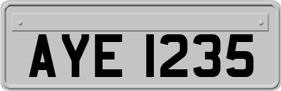 AYE1235