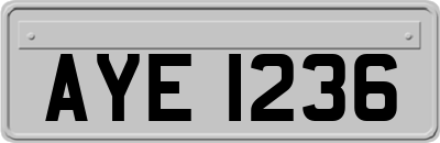 AYE1236