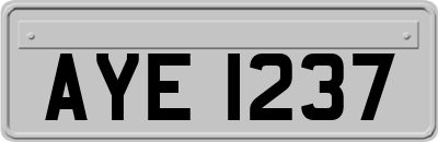 AYE1237