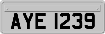 AYE1239
