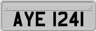 AYE1241