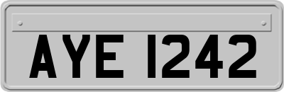 AYE1242