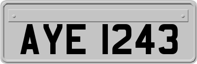 AYE1243