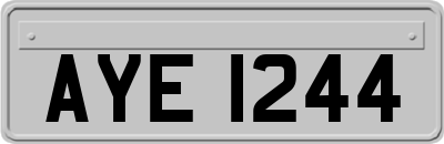 AYE1244