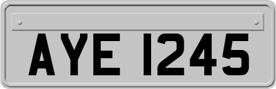AYE1245