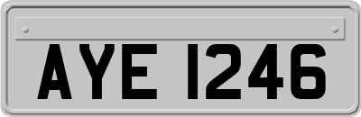 AYE1246