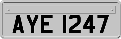 AYE1247