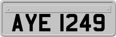 AYE1249
