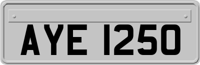 AYE1250