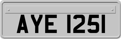 AYE1251