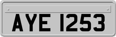 AYE1253