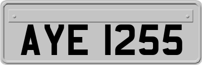 AYE1255