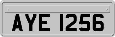 AYE1256