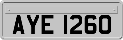 AYE1260