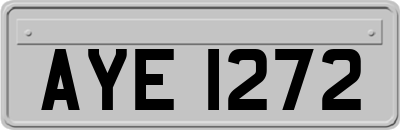 AYE1272