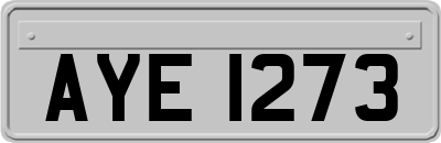 AYE1273