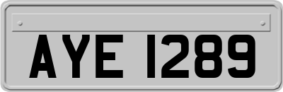 AYE1289