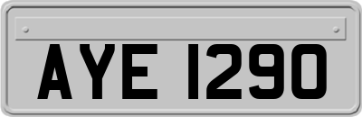 AYE1290