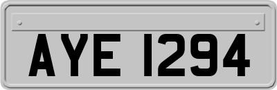 AYE1294