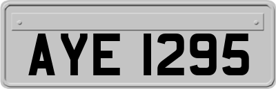 AYE1295