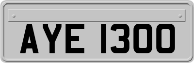AYE1300