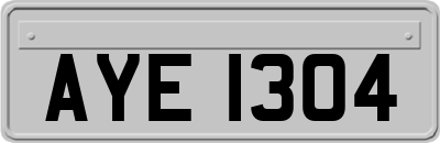 AYE1304