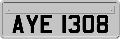 AYE1308