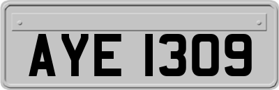AYE1309