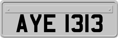 AYE1313