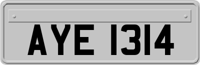 AYE1314