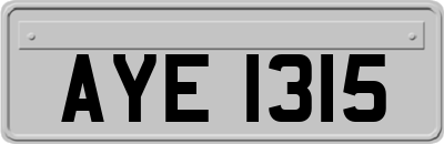 AYE1315