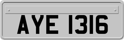 AYE1316