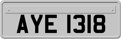 AYE1318