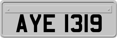 AYE1319