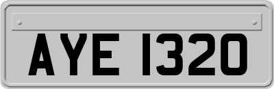 AYE1320