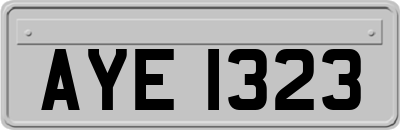AYE1323
