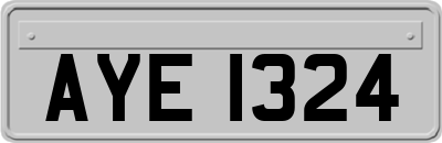 AYE1324