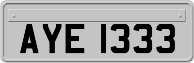 AYE1333