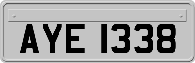 AYE1338