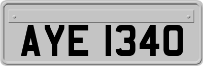 AYE1340