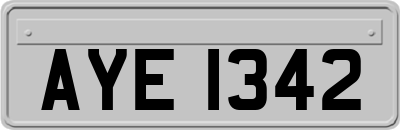 AYE1342