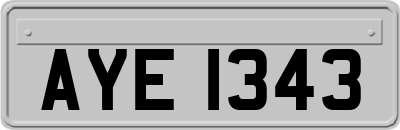 AYE1343