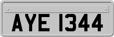 AYE1344