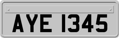 AYE1345