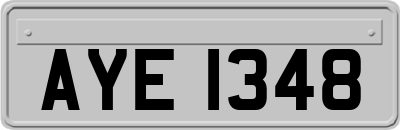 AYE1348