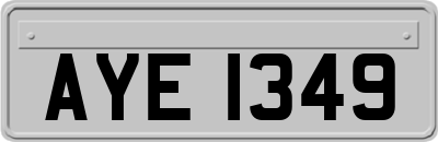 AYE1349