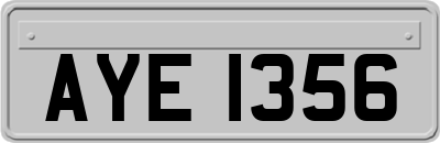 AYE1356