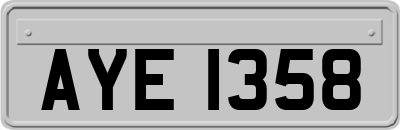 AYE1358