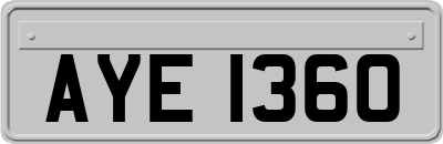 AYE1360